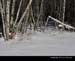 WinterAville05