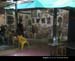 Chatuchak12