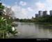 Chatuchak18