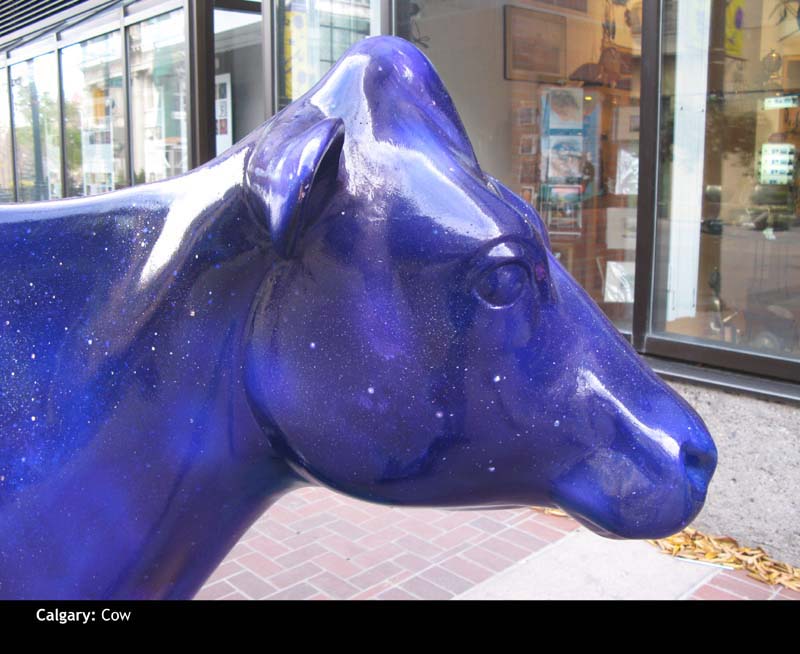 Calgary31