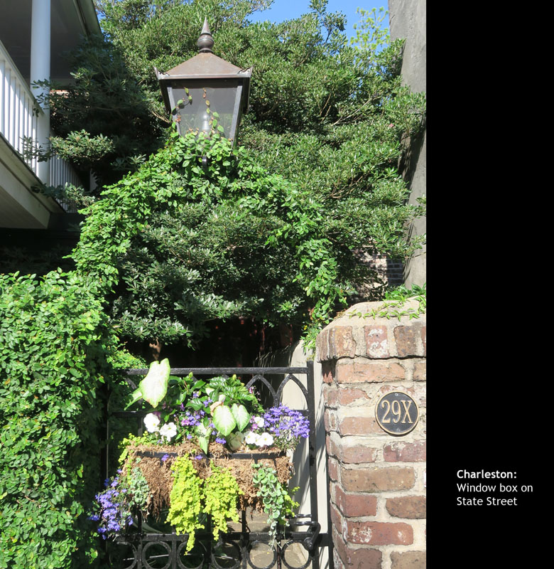 Peninsula107