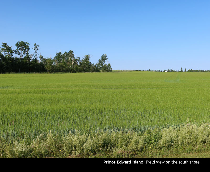 PEI2024-04