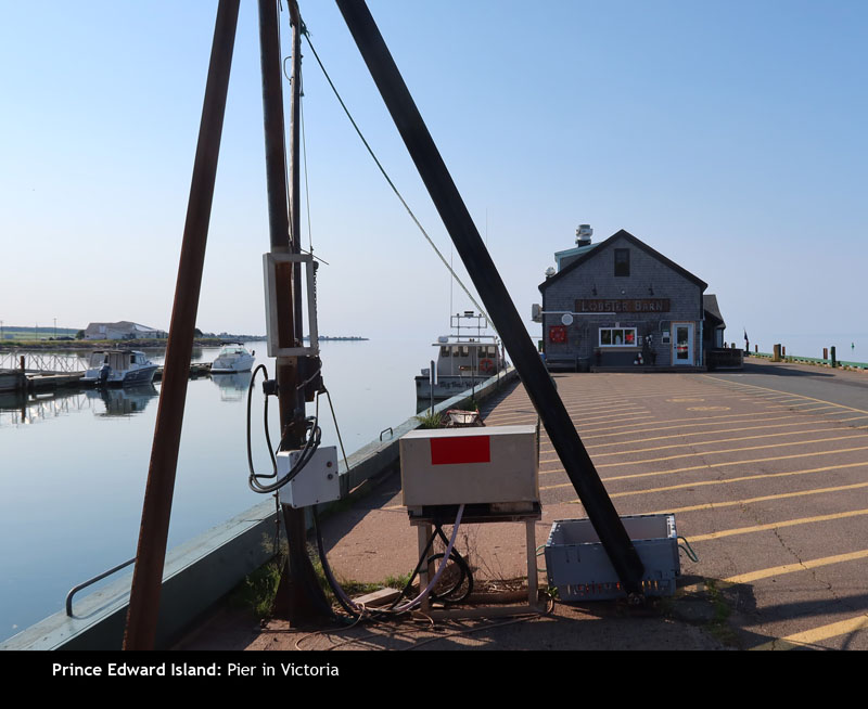 PEI2024-11