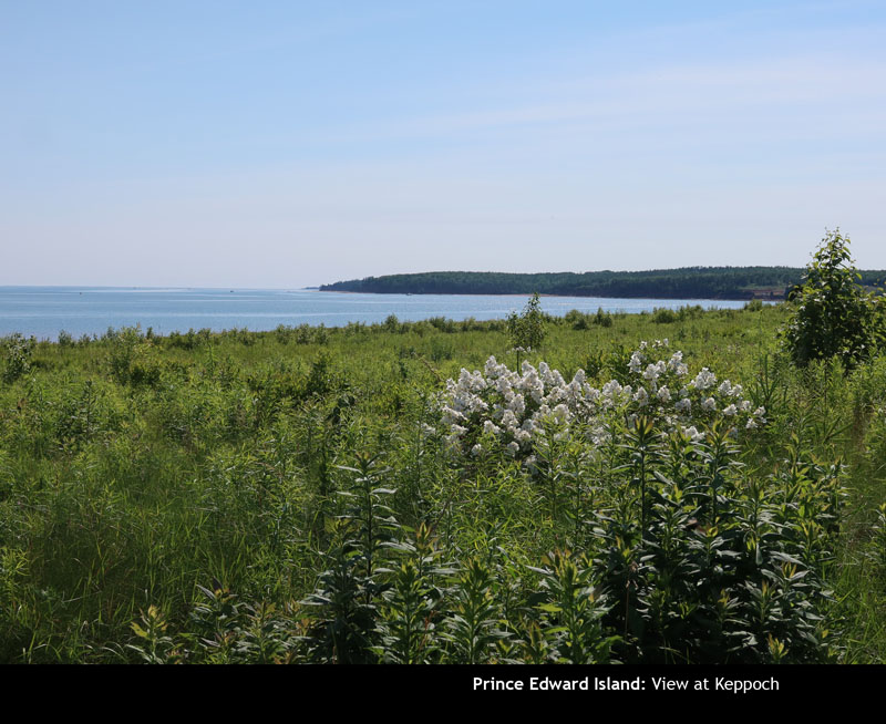 PEI2024-55