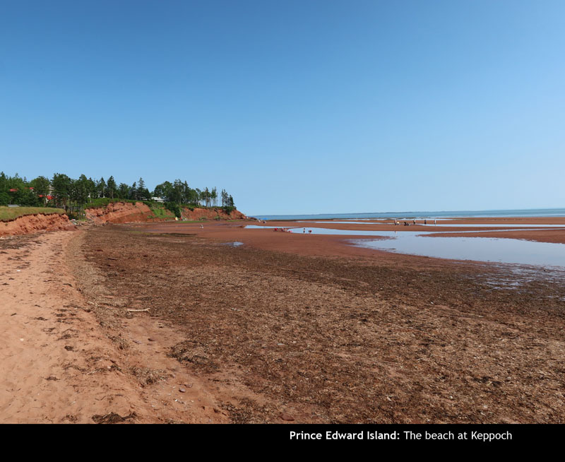 PEI2024-56