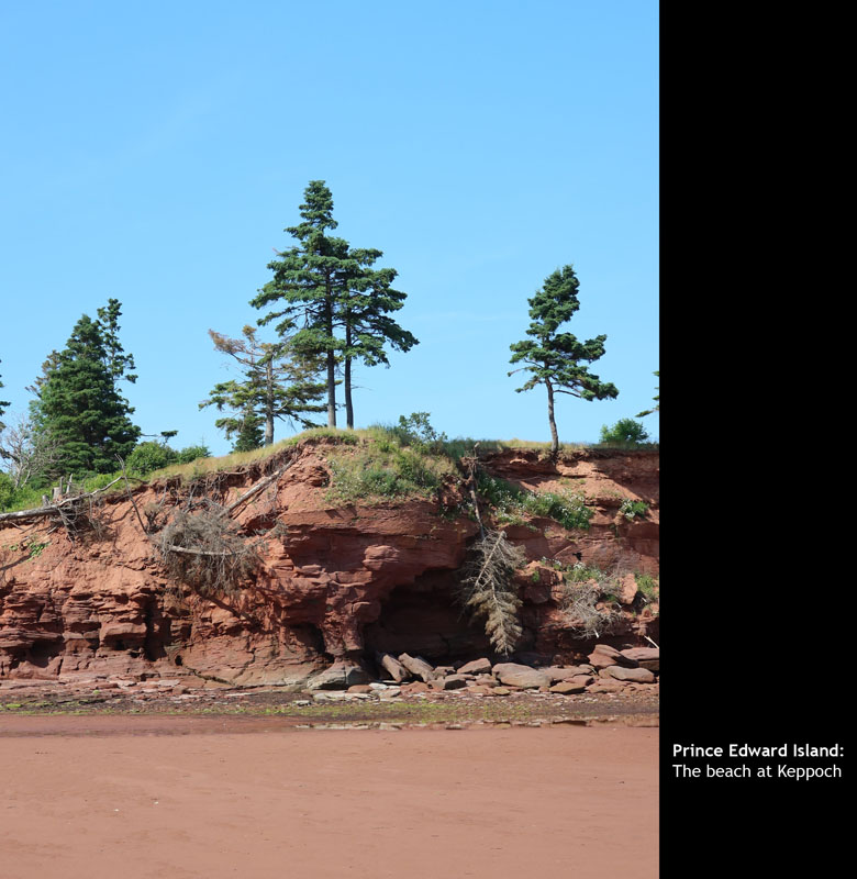 PEI2024-59