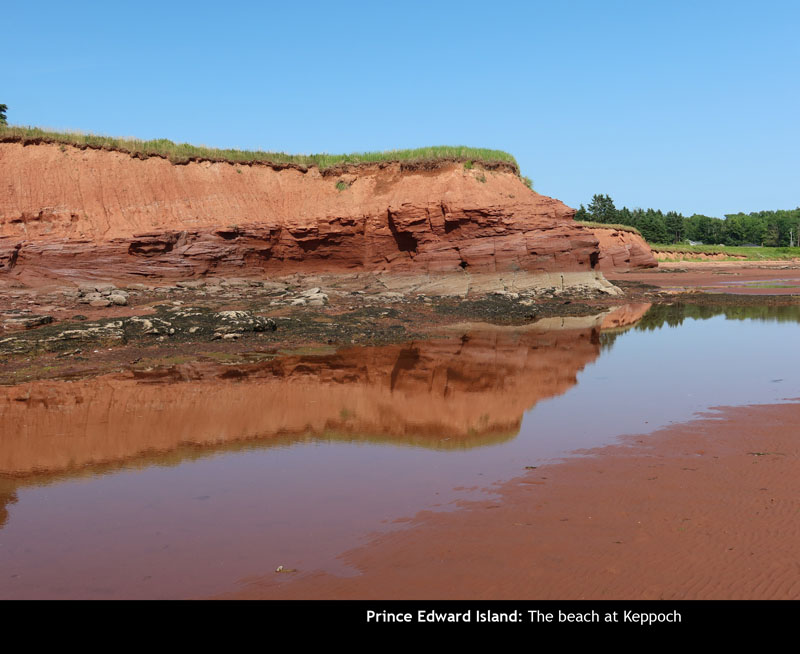 PEI2024-60