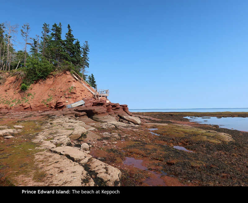 PEI2024-61
