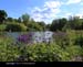 ParksLakes005