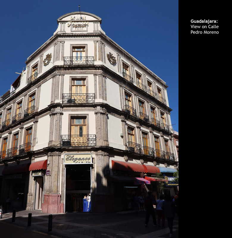CentralGuadalajara49