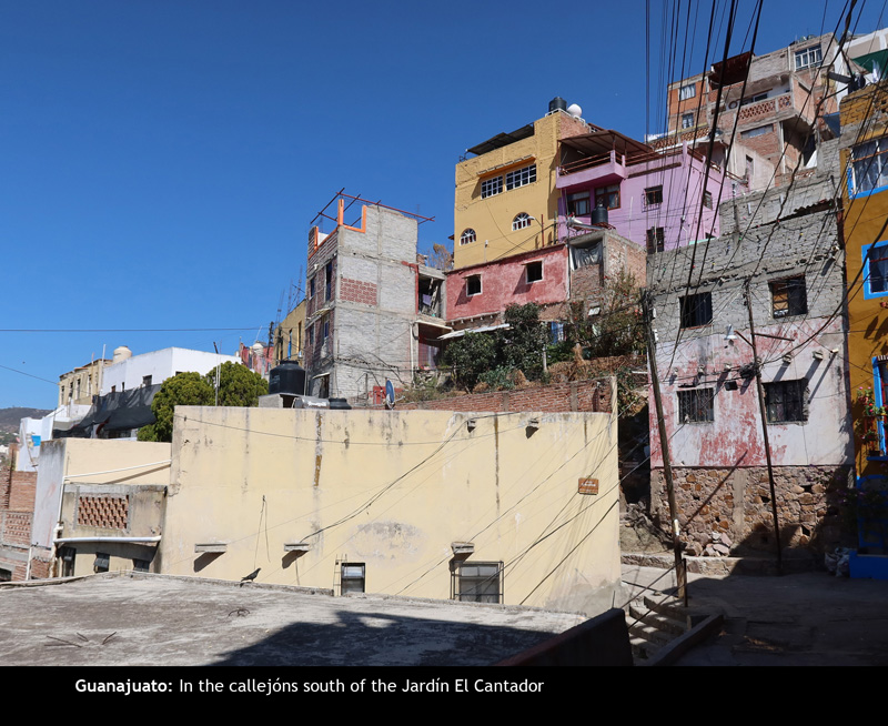 Callejons16