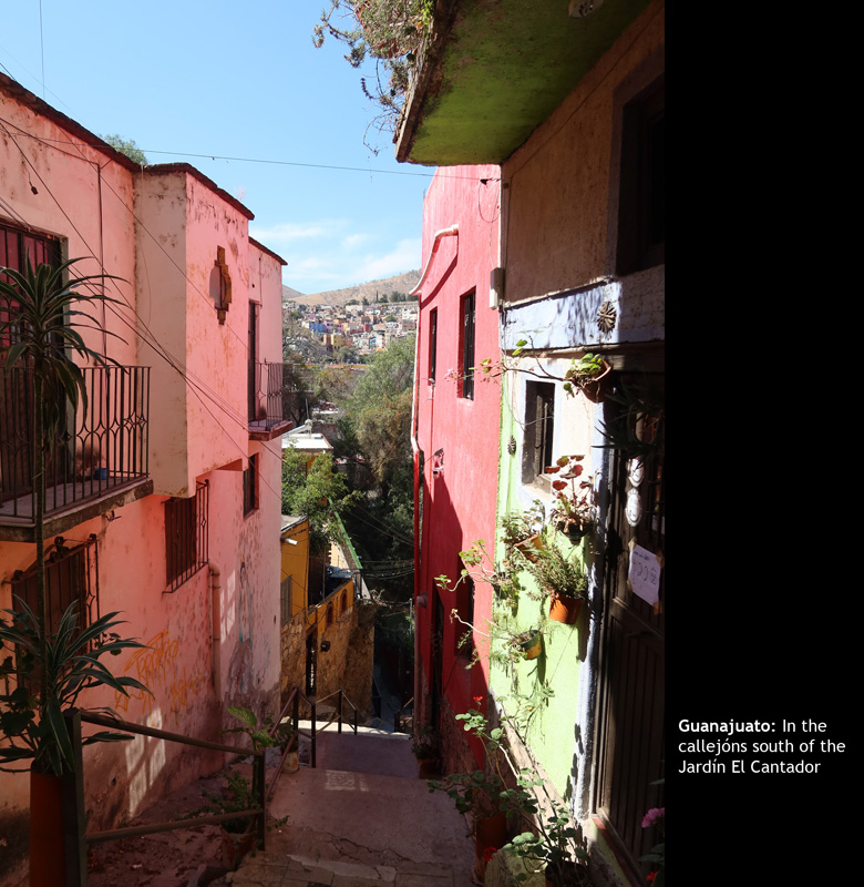 Callejons19