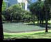 Bukit042