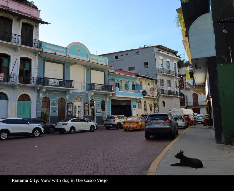 CascoViejo16