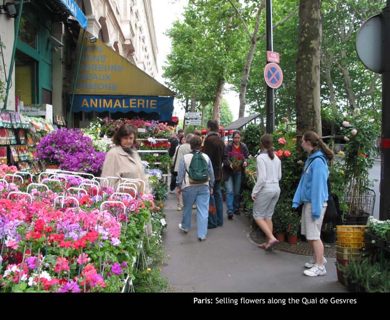 Paris046
