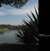 Jardim43