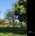CentralStJohns069