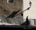 OldCityTallinn127