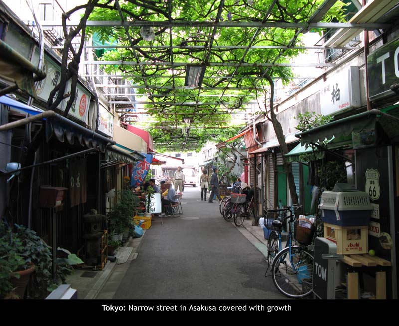 Asakusa08
