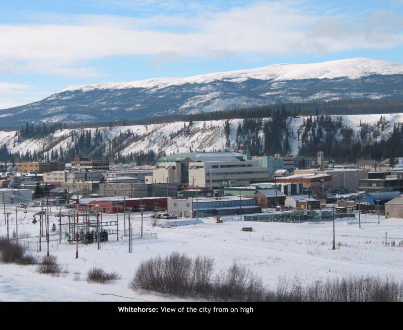 Whitehorse38